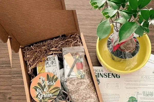 4. Housewarming Plant of the Month Box
