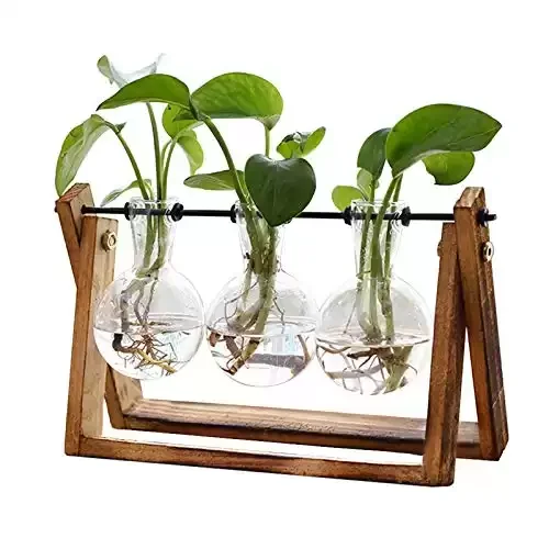 24. Plant Terrarium with Wooden Stand