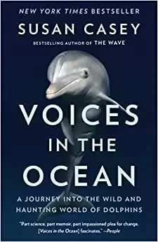 A Journey into the Wild and Haunting World of Dolphins