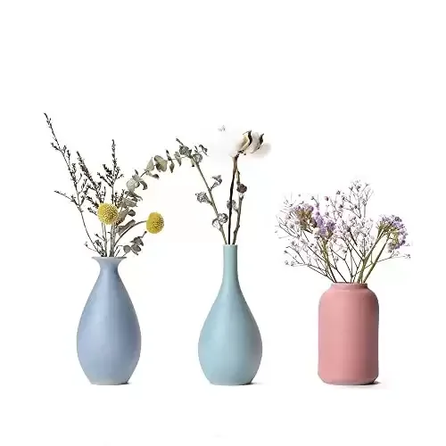 Elegant Decorative Flower Vase