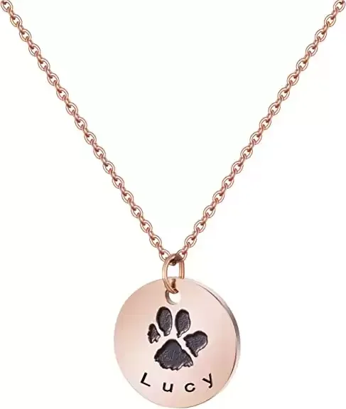 Dog and Cat Memorial Gifts-Personalized Pet Name Necklace with Paw Prints for Pet Loss-Loss of Dog or Pet Sympathy Gifts for Pet Lovers