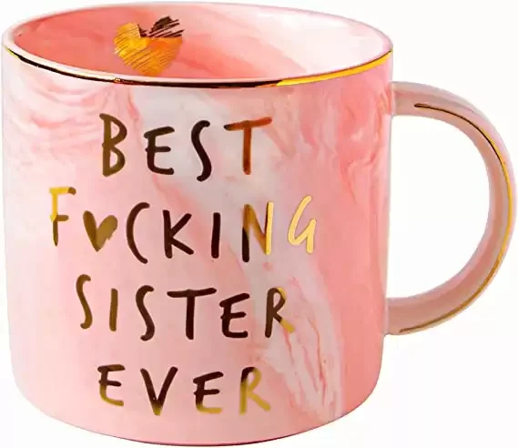 Best Sister Ever Funny Gifts Mug