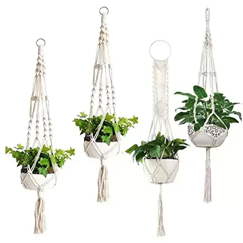Plant Hangers for New Home