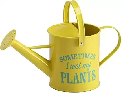 6. Funny Small Indoor Watering Can