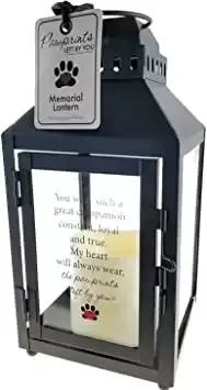 Pawprints Left by You Memorial Gifts Pawprint Left Metal Lantern