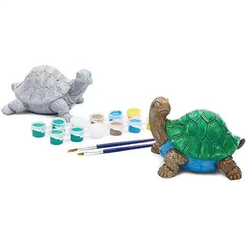 Turtle Pet Rock Painting Kit