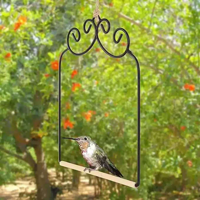 Cute Hummingbird Swing
