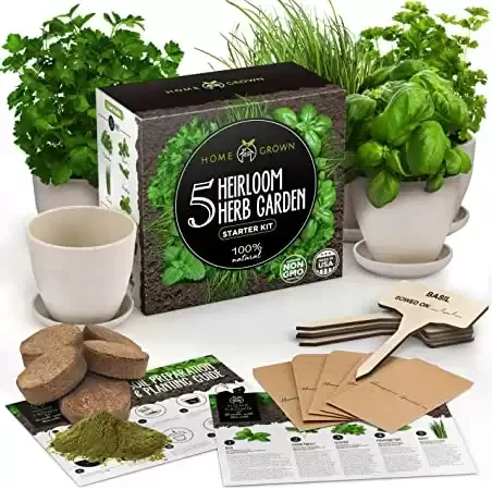 Indoor Herb Garden Starter Kit - Lovely DIY Gift Idea