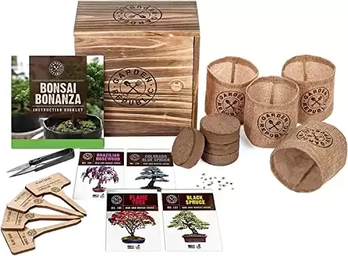 21. Bonsai Tree Seed Starter Kit