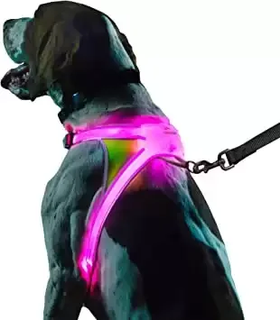 Illuminated and Reflective Harness for Dogs Including Multicolored LED Fiber Optics