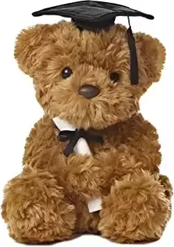 Graduation Bear toy