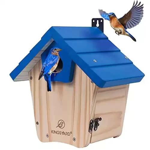 Wooden Bluebird House with Predator Guard