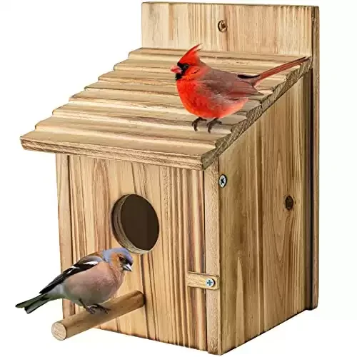 Wood Bird Houses for Outside with Pole