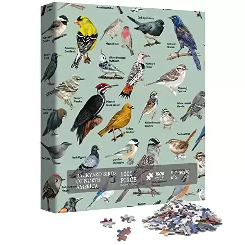 Bird Puzzle for Adults 1000 Pieces