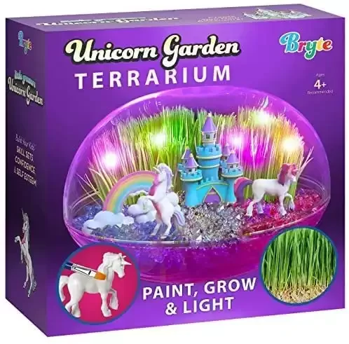 Unicorn Terrarium Kit