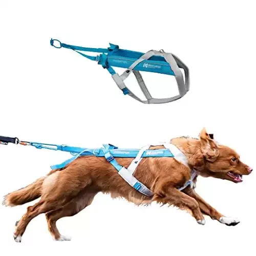 Dog Pulling Harness for Sports