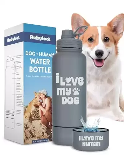 Water Bottle for Dogs and Their Owners