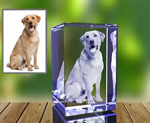 Personalized 3D Dog Photo